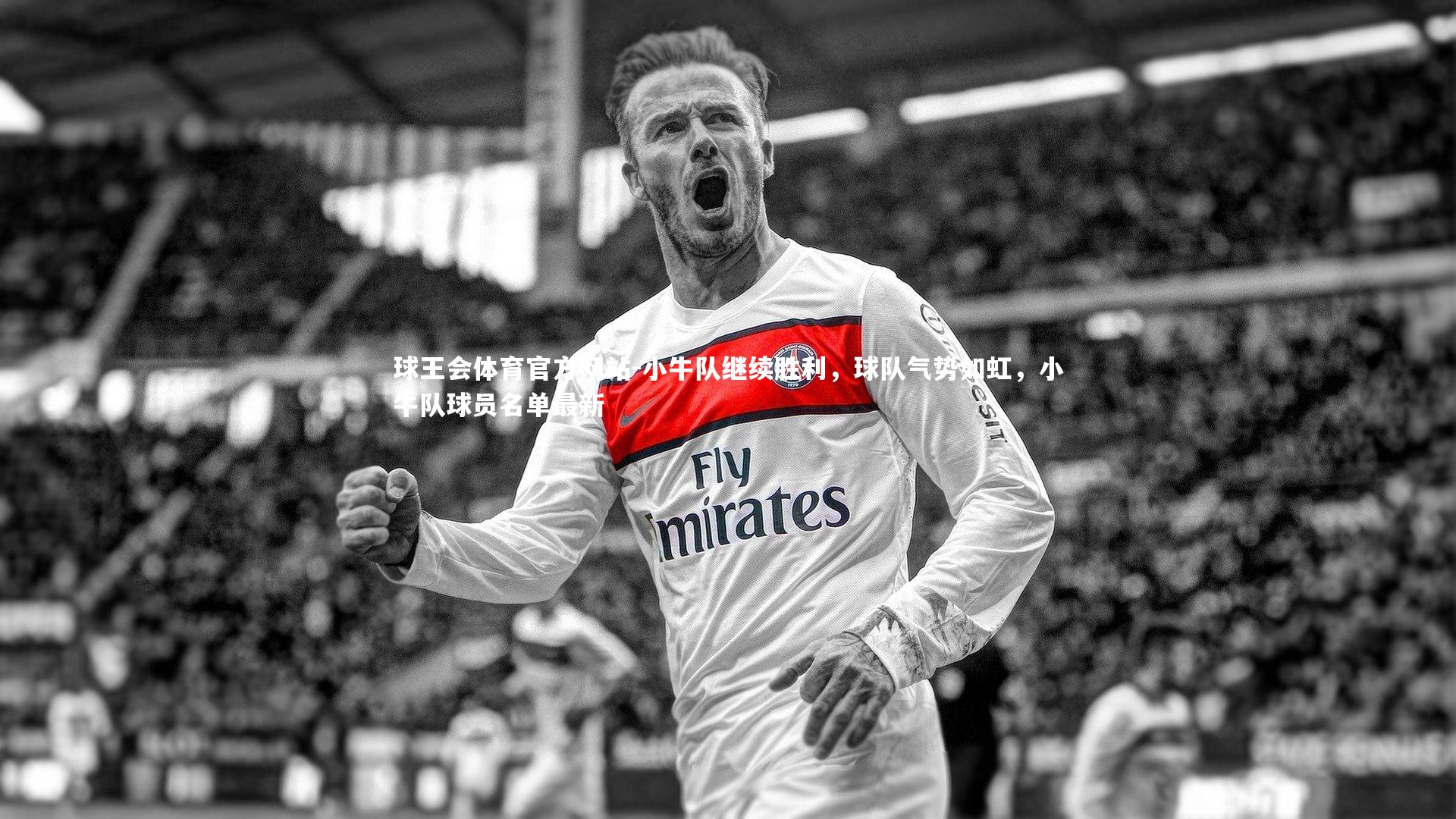 球王会体育官方网站-小牛队继续胜利，球队气势如虹，小牛队球员名单最新