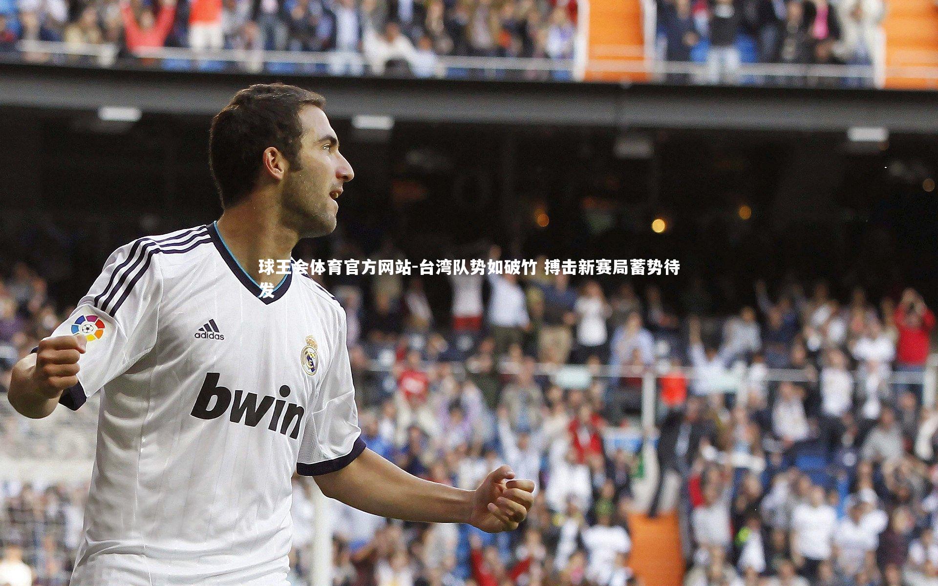 台湾队势如破竹 搏击新赛局蓄势待发